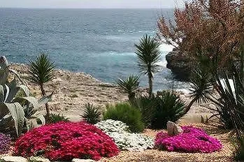 *** 리조트 Apartamentos Parque Mar Cala D´Or 스페인
