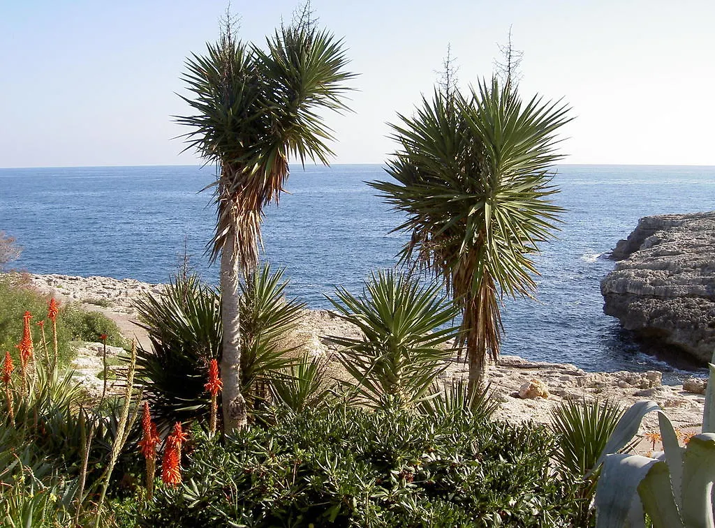Apartamentos Parque Mar Cala D´Or 스페인